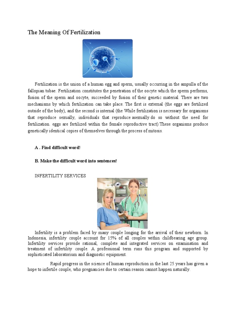 The Meaning of Fertilization | PDF | Infertility | Fertilisation
