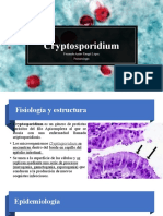 Cryptosporidium