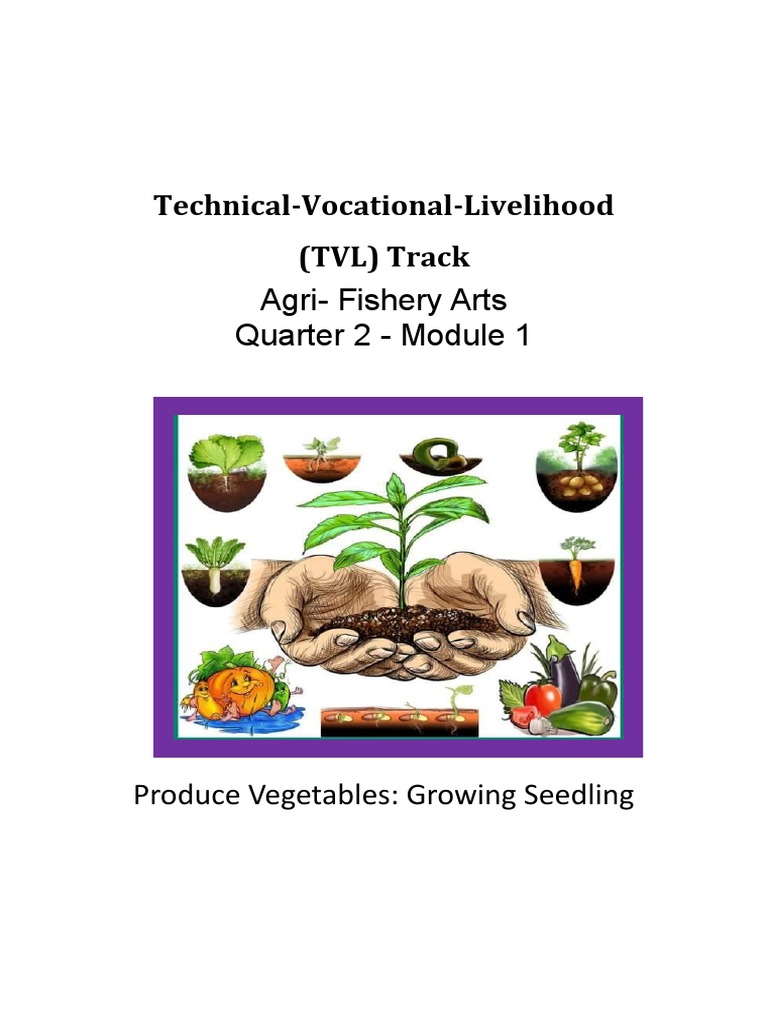 Characteristics of Quality Seeds | PDF | Seed | Germination