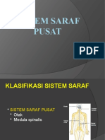 Sistem Saraf Pusat-1