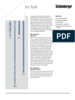 Neutron Porosity Tools