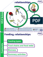 Feeding Relationships