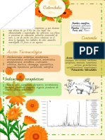 Infografía Calendula