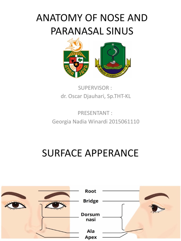 Anatomy of Nose and Paranasal Sinus | PDF | Human Nose | Organ (Anatomy)