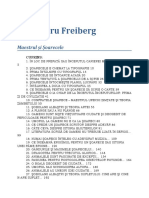 Alexandru Freiberg-Maestrul Si Soarecele 0.3 10