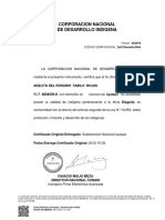 Certificado indígena Diaguita Iquique CONADI