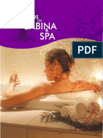 protocolosdecabinayspa-130910192731-phpapp02