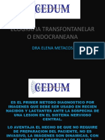 Ecografia Transfontanelar o Endocraneana