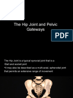 The Hip Joint and Pelvic Gateways