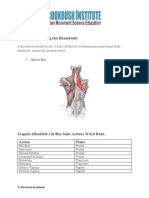 Rhomboids Answer Key 1