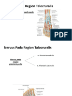 Nervus Pada Region Talocruralis