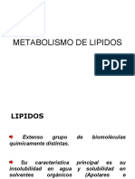 clase-nc2b010-catabolismo-de-lc3adpidos-bioq-tec-2011