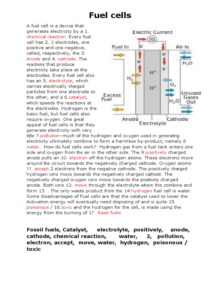 Worksheet 1 How A Fuel Cell Works PDF