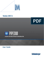 Pipesim: User Guide