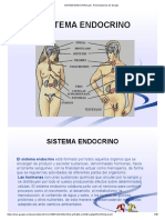 SISTEMA ENDOCRINO - PPT - Presentaciones de Google