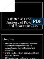 Chapter 4: Functional Anatomy of Prokaryotic and Eukaryotic Cells