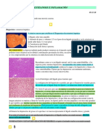 S3 - Lab 1-03-11 - 20 - Inflamacion Aguda