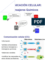 ComCel: Mensajeros, Receptores y Vías de Comunicación Celular