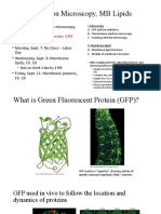 Day 9: Electron Microscopy, MB Lipids