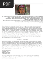 Jinsiy olatni qinga kiritish