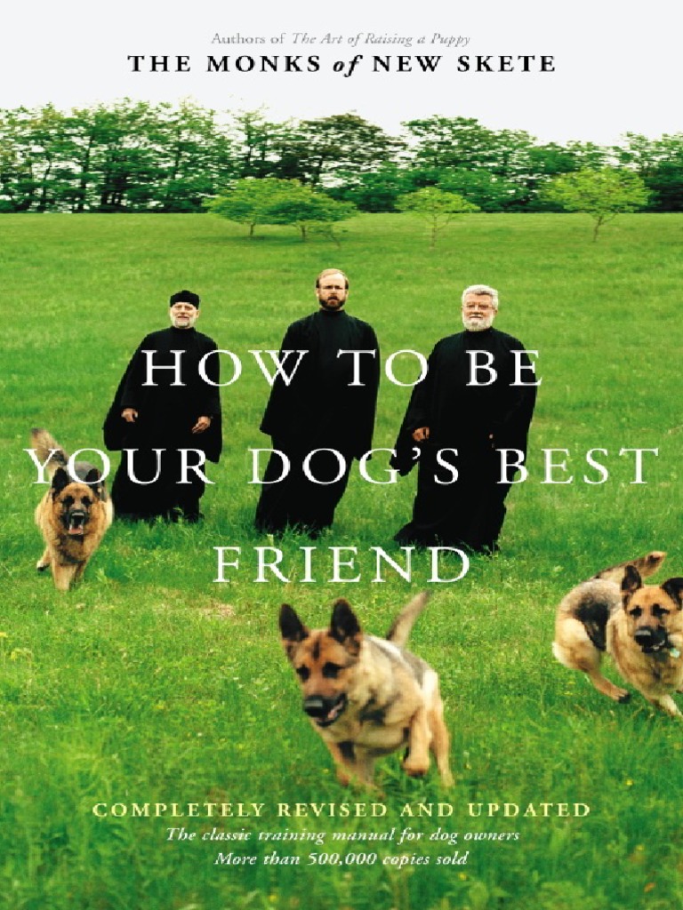 How To Be Your Dogs Best Friend