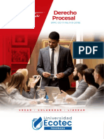 Brochure Derecho Procesal