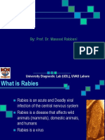 15 Rhabdoviridae Rabies