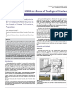 Tyto Furcata S Diet Analysis in Two Natural Protected Areas in The South of Santa Fe Province Argentina