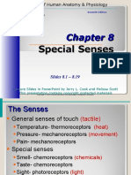 Chapter 8 Pptsenses 1 160217162234