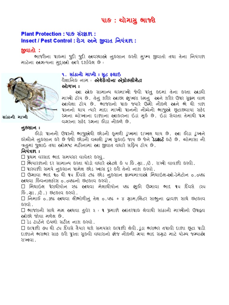 Plant Protection PDF