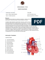 Relatório da Atividade Prática: "Dissecação do coração de um mamífero".