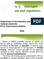 2020 Glycogen Metabolism