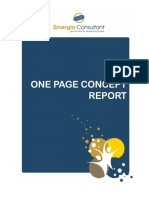 Panduan One Page Concept Report