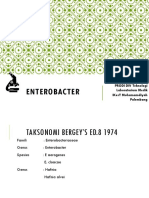 Enterobacter Citrobacter