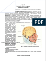 Pdfslide.net Anatomia Topografica a Regiunii Cerebrale a Capului