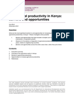 Agricultural Productivity in Kenya_Barriers_and_Opportunities