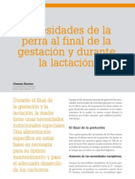 cv_43_Necesidades de la perra al final de la gestación y durante la lactación