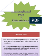 Citric Acid Cycle