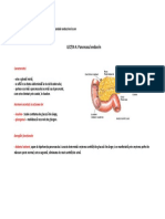 u3.l4.-pancreasul-endocrin