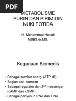 Download purin-pirimidin-d3 by Siti Khairunnissa SN49881113 doc pdf