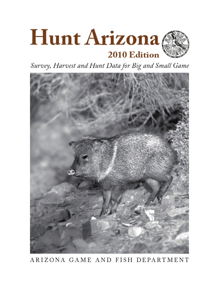 Hunt AZ2010 | PDF | White Tailed Deer | Hunting
