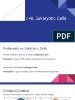 Prokaryotic vs. Eukaryotic Cells