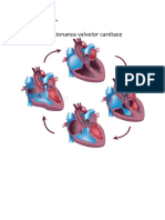 Funcţionarea valvelor cardiace