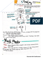 New Doc 2019-02-21 15.31.31 - 20190221161639602