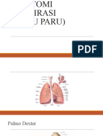 Anatomi Paru dan Sistem Respirasi
