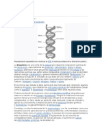 Bioquímica