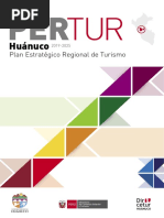PERTUR Huanuco