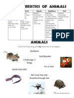 5 Animal Groups Characteristics of Animals Free Worksheets 2