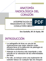 ANATOMÍA RX DEL CORAZÓN