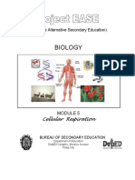 Biology M5 Cellular Respiration